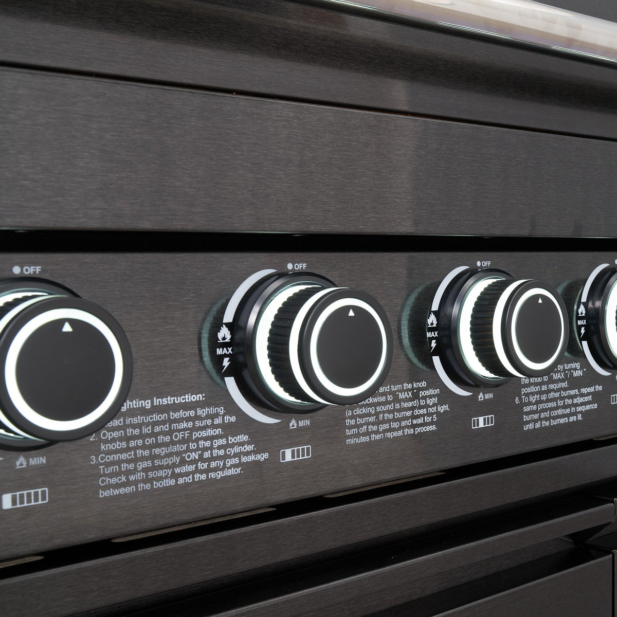 6 Burner Black Stainless Steel Gas Barbecue